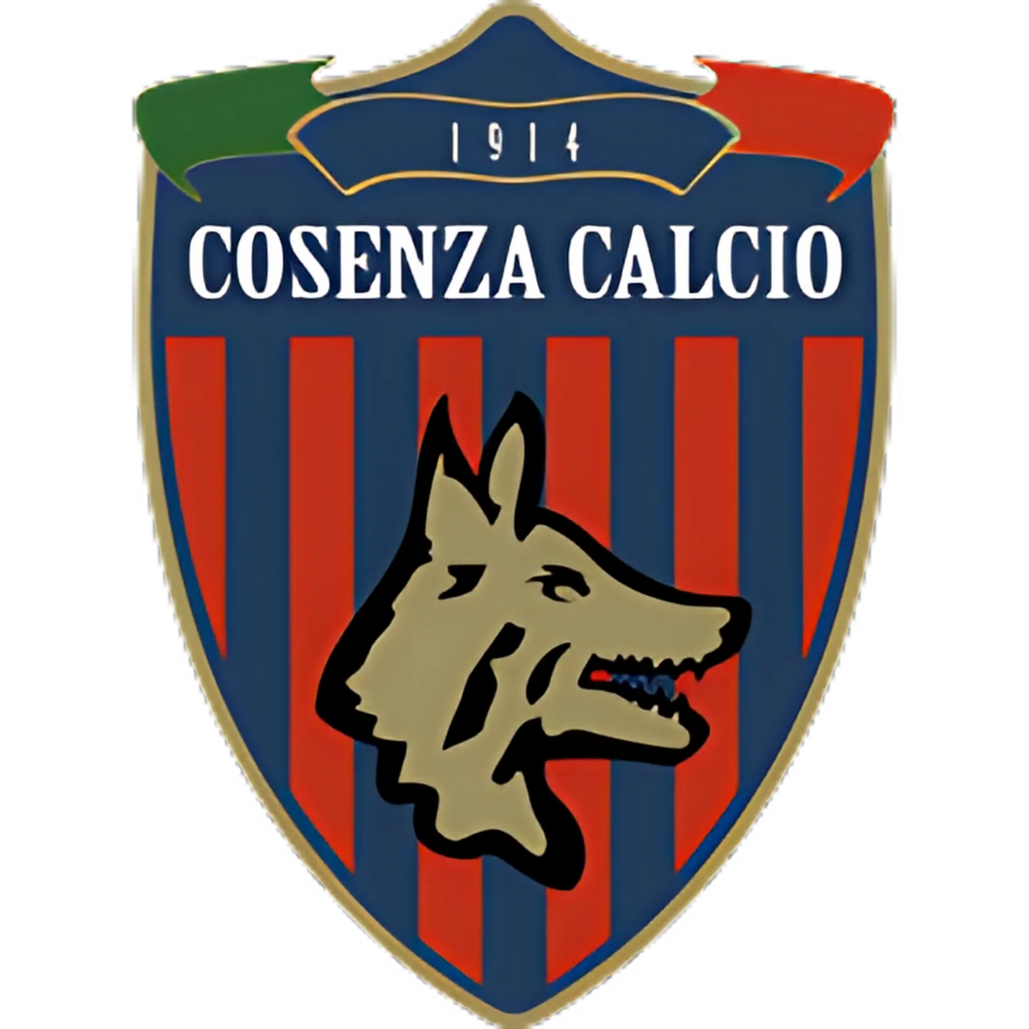 Cosenza Calcio