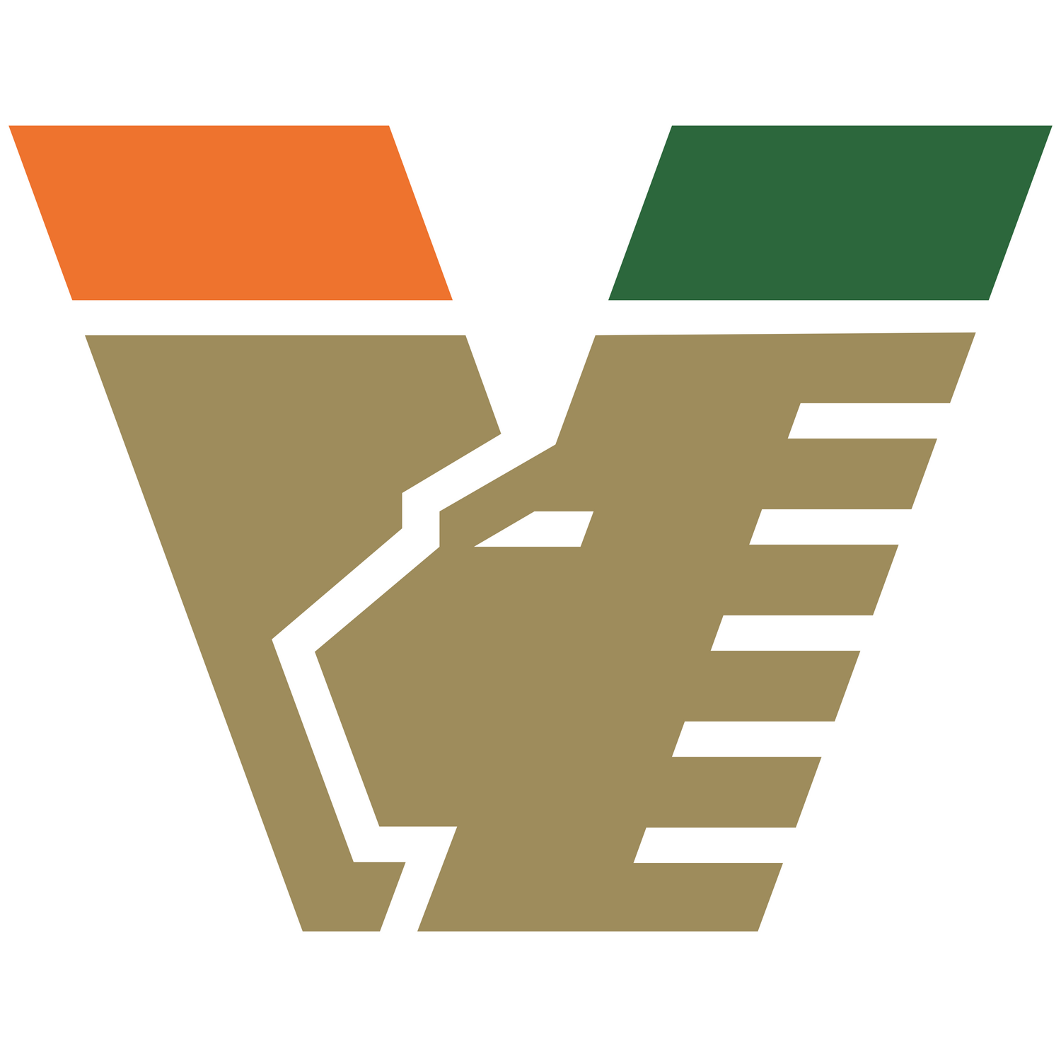 Venezia FC