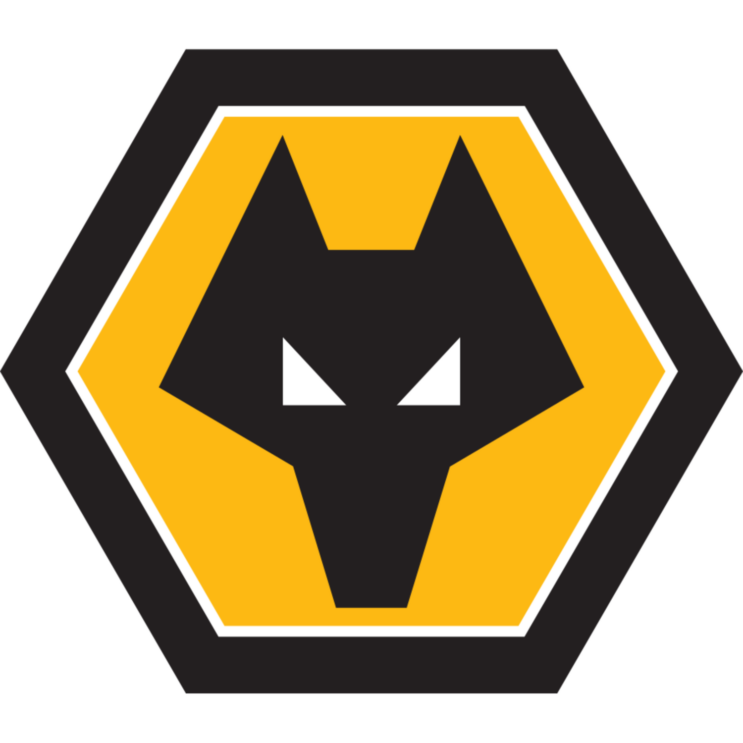 Wolverhampton Wanderers FC