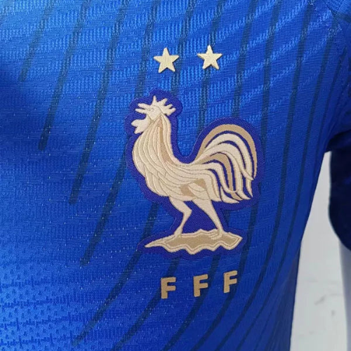 CAMISETA FRANCIA ALLENAMENTO 2022/23