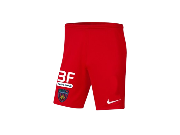 PANTALONES CORTOS COSENZA NIKE THIRD - 2024/25