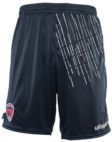 ADULTOS 23-24 pantalones cortos de entrenamiento