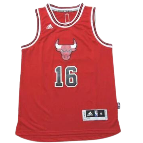 CAMISETA NBA CHICAGO BULLS